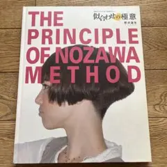 似合わせの極意 : the principle of Nozawa metho