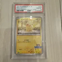 ぎーぎー様　専用　ポケモンカード イラストレーションコンテスト2024ピカチュウ