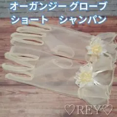 ウエディンググローブ ショート シャンパン色 オーガンジー 花 花嫁 結婚式