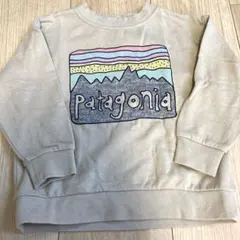 さる様専用！パタゴニア トレーナー　2T