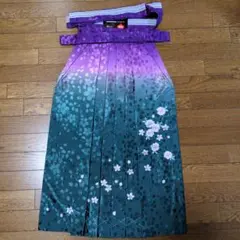 Item thumbnail for item e18ac043-bdf1-4d24-8eb8-ea7bb4be9768