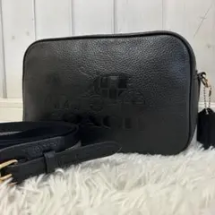 ⭐️極美品⭐️コーチ ホースアンドキャリッジ カメラバッグ ダブルファスナー 黒