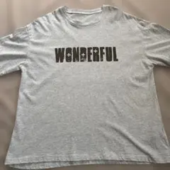 WONDERFUL ロゴプリント 半袖Tシャツ グレー
