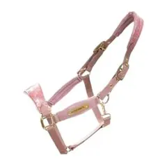 Item thumbnail for item b0d1d176-eb9e-4bd9-b49f-e1bb3df5d4b0