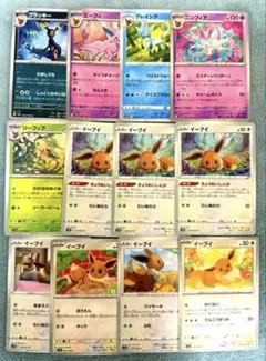 イーブイ ブラッキー リーフィア グレイシア ニンフィア 12枚セット