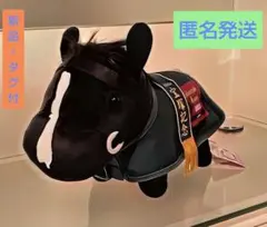 イクイノックス　宝塚記念G1 出資者限定グッズ イクイノックス 宝塚記念G1 出資者限定グッズ 【公式通販】