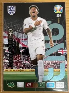 Panini Adrenaline Euro2020／Jadon Sancho！