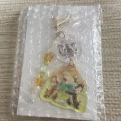 チップ デール シークレット キーチェーン ディズニーランドのサムネイル