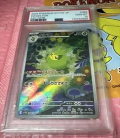 テツノイバラ ar PSA10 ゾロ目 テツノイバラ ar PSA10 ゾロ目 - メルカリ