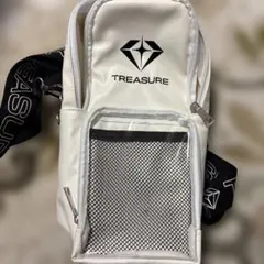 TREASURE ペンライトケース