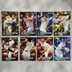 プロ野球チップス2026　第１弾　スターカード（キラ）８枚セット