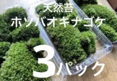 ペット専門様 リクエスト 2点 まとめ商品