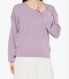 N. ナチュラルビューティーベーシック　ウールベーシック総針Vネックニット