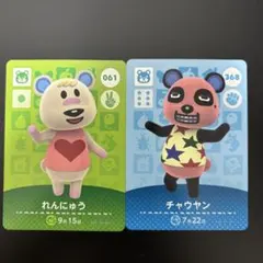 れんにゅう チャウヤン amiibo あつ森 どうぶつの森 くま