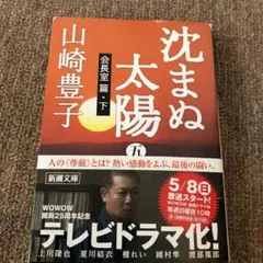 沈まぬ太陽 5(会長室篇 下)