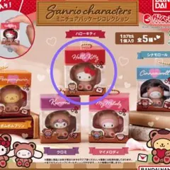 サンリオキャラクターズ ミニチュアパッケージコレクション