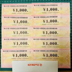 ビックカメラ 株主優待券　10000円分