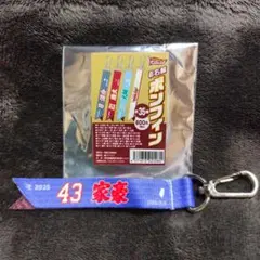 楽天イーグルス お名前ボンフィン #43 宋家豪