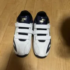 プロステータス紐式トレーニングシューズ‼️ 29センチ‼️ プロステータス紐式トレーニングシューズ‼️ 29センチ‼️ - メルカリ