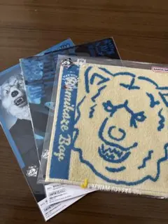 Item thumbnail for item 10fccc41-8a82-4053-836d-e4a6626cc32e