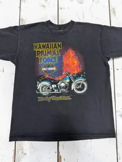 Item thumbnail for item 849d5172-7aad-47cb-996e-33e2721d5441