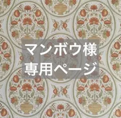 ✧︎*。マンボウ様 専用ページ✧︎*。3/5