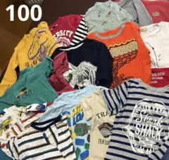 100サイズ　男の子向け春夏トップスまとめ売りセット