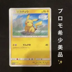 ホロ確認用】ピカチュウ Lv.11 004/015 （購入不可） - メルカリ