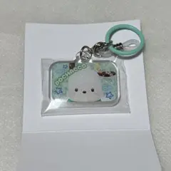 ポチャッコ　プリ風チャーム　サンリオ