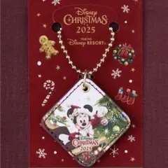 【即購入可】エンパイアグリル ミニー　2025 クリスマス チャーム ディズニー