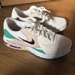 Item thumbnail for item 9cbd0d16-1c4e-442a-9eb2-2a34f5098203