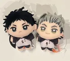 ハイキュー ぬいぷりけmini 2種セット