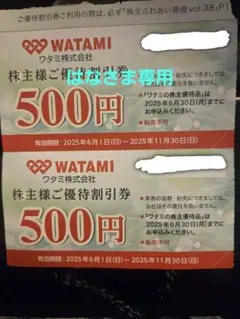 WATAMI 株主優待割引券 500円 2枚