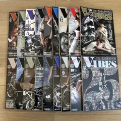 ViVi ビビ 雑誌 安室奈美恵 長谷川潤 ビヨンセ 宇多田ヒカル 佐田