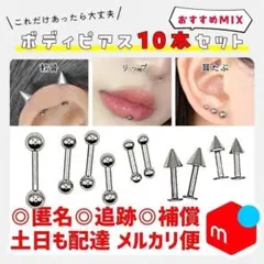 【メルカリ便ෆ組合せ変更OK】14Gボディピアス／MIX10本　軟骨ピアス