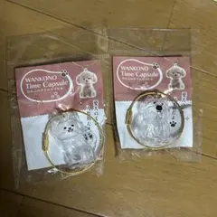 わんこのタイムカプセル ラテ モコ