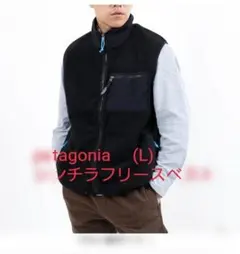 FA22 パタゴニア 人気 シンチラフルジップ フリースベスト黒ブラック