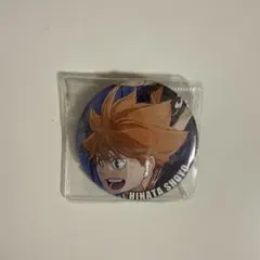 ハイキュー　ゴミ捨て場の決戦　キャラバッジ　コレクション　日向翔陽