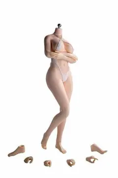 1/6 女性素体 シームレス ペール ラージバスト S52A 6920