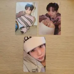 RIIZE トレカセット ショウタロウ 東京ドーム