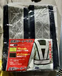 Item thumbnail for item 295b278f-97fd-4361-9574-299de8a7d9d5