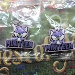 MINITEENぷっくりめじるしアクセサリー FOXDUNGEE ウォヌ ✕２個