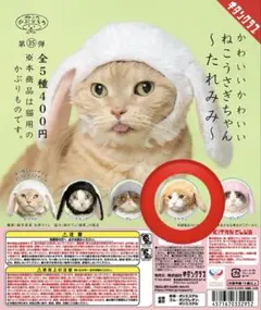 ねこのかぶりもの　たれみみうさぎ　ブラウン