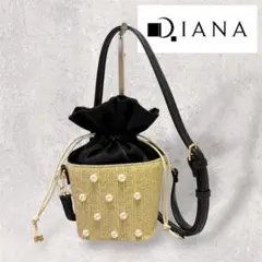 DIANA ダイアナ パール装飾 かごバッグ 巾着 ミニショルダー ブラック