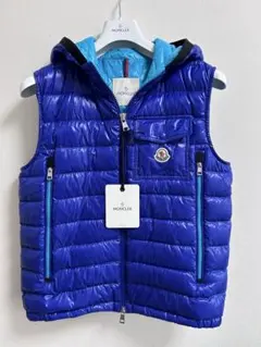 MONCLER メンズ ダウンベスト 2026年最新】MONCLER メンズ ダウンベスト・キルティングベストの人気