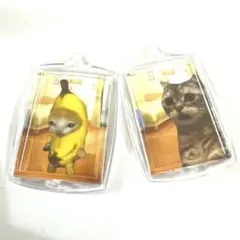 ミーム猫 アクリルキーホルダー 2個セット　猫ミーム