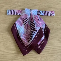 Item thumbnail for item 3dc53d20-0743-433a-9628-bca2c0239a56