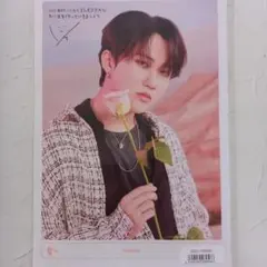 スキズ シーグリ S318 特典 チャンビン ミニポスター