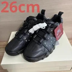 Item thumbnail for item 71aa2f40-6865-4980-9833-a5739ddff49e