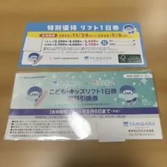 2026年最新】たんばら リフト券の人気アイテム - メルカリ